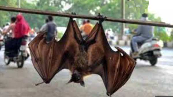 என்ன ஆய்வு