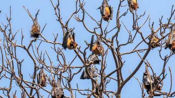 தொடர்பில்லை