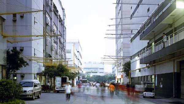 வலை வீச்சு