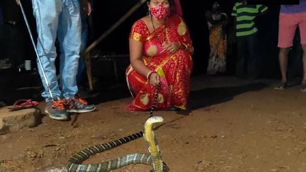 வாழும் உதாரணம்