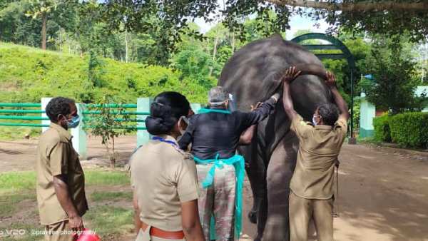 முடிவு எப்போது தெரியும்?