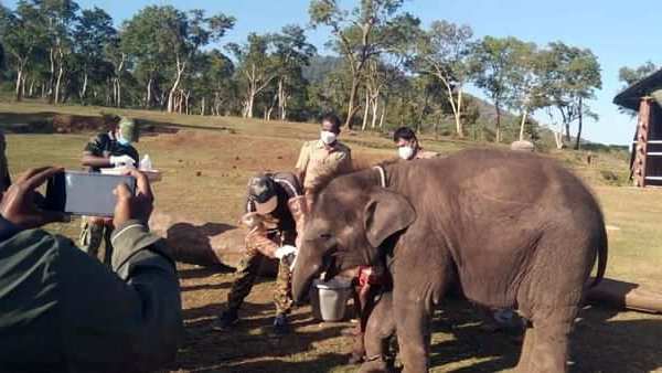 தமிழக அரசு உத்தரவு