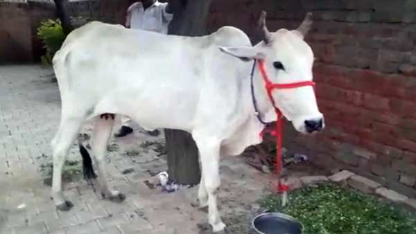 உடன்பாடு இல்லை
