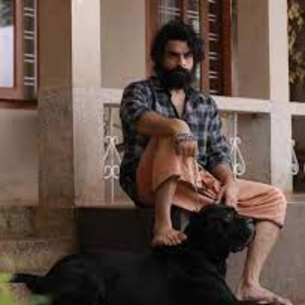 ஈகோ