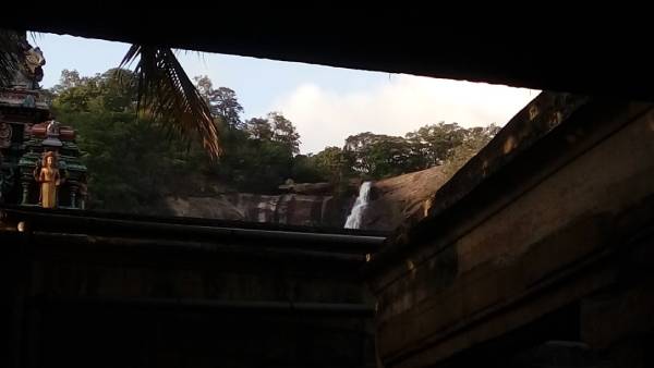 பரோட்டாவும் சிக்கனும்