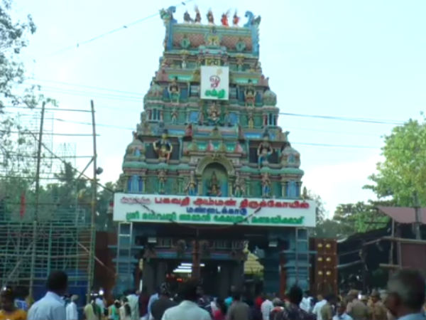 பலா மரக்கட்டை தேவை