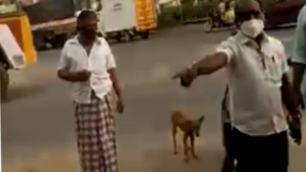 செக்போஸ்ட்