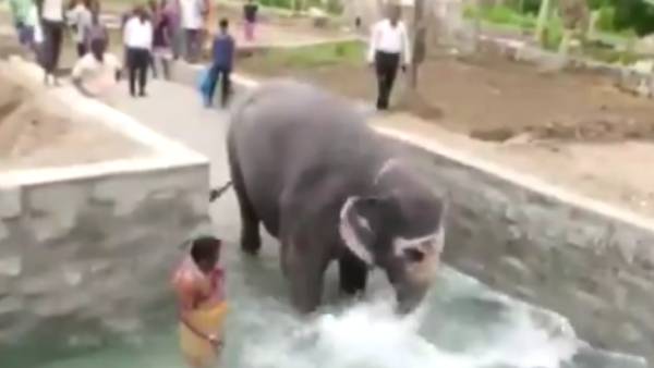 நடைபயிற்சி