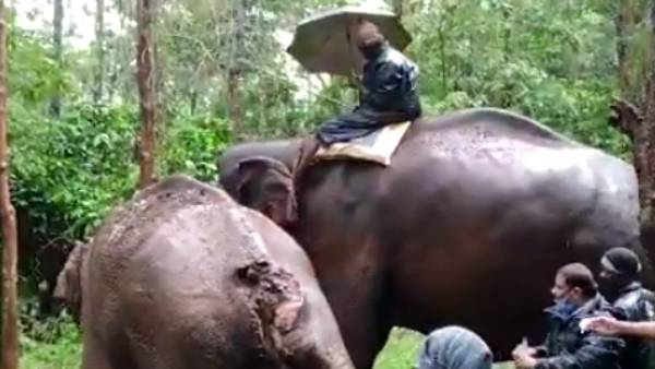 பெரிதானது