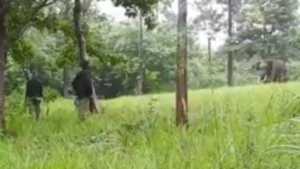 மீட்பு