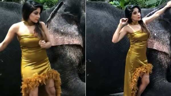 மனதை அள்ளும் பார்வை