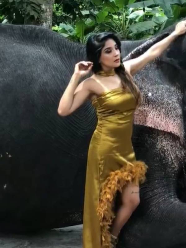 சிலிர்த்துப் போனை யானை