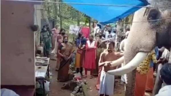 யானையிடம் பாசம் வைத்த குட்டன்
