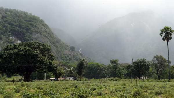பெஸ்ட்