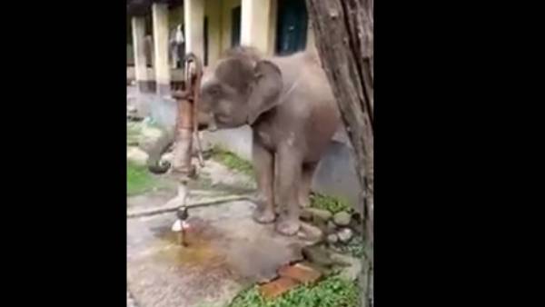 நெட்டிசன்கள் பாராட்டு