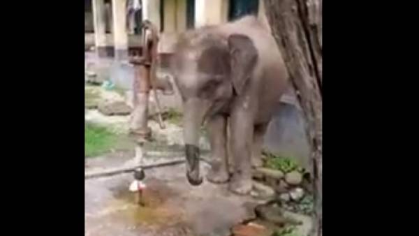 ராமநாராயணன் படங்களை போல..