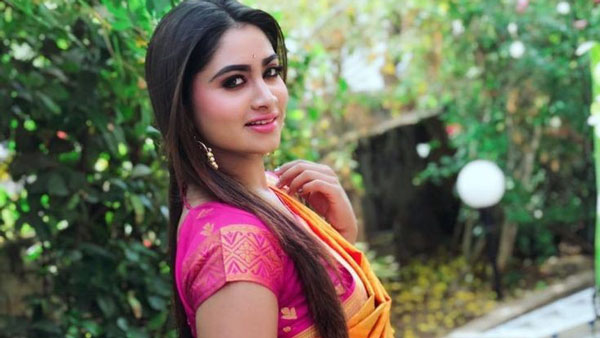 அழகிய சேலையில்