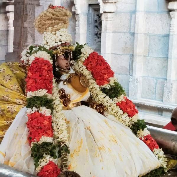 Poochatru Utsavam Kodai Thirunal Srirangam Ranganachiyar Poochatru Utsavam Kodai Thirunal Srirangam Ranganachiyar