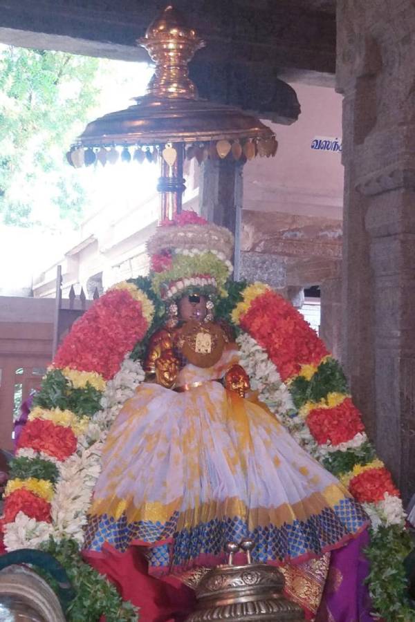 Poochatru Utsavam Kodai Thirunal Srirangam Ranganachiyar Poochatru Utsavam Kodai Thirunal Srirangam Ranganachiyar