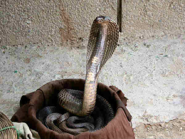 முதலுதவி