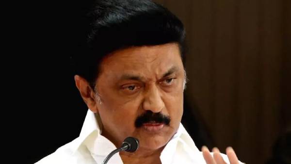 தீவிர ஆலோசனை
