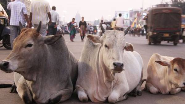 8 ஆண்டுவரை சிறை