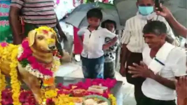 விதியின் விளையாட்டு