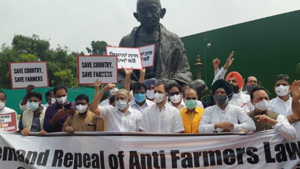 Rahul Gandhi stages protest against Farm Laws Rahul Gandhi stages protest against Farm Laws
