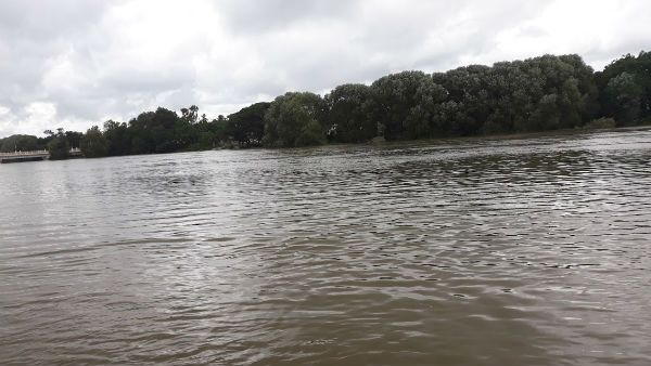 காவிரி அன்னைக்கு வழிபாடு