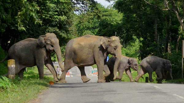 மக்களின் கோரிக்கை