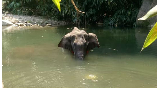 ஆபரேஷன் ஒத்திவைப்பு