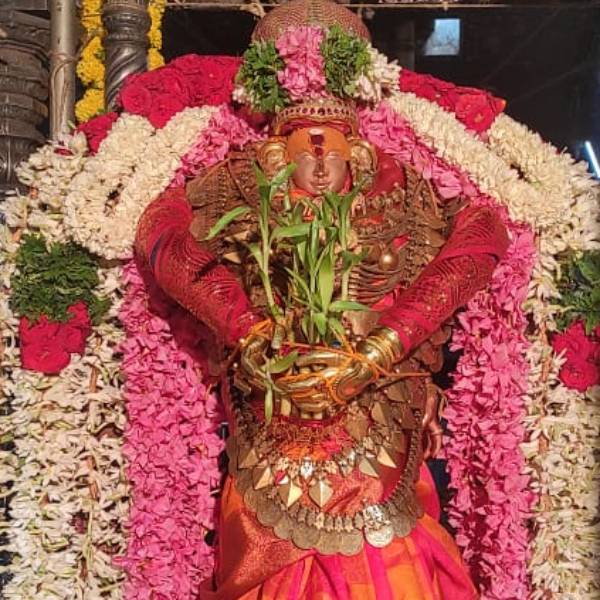 அரிஹரனாக காட்சி அளித்த இறைவன்