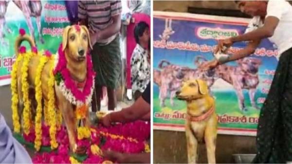 குழந்தை போல் கவனித்தோம்...