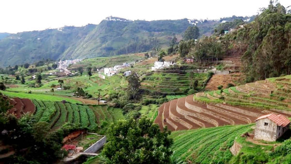 கொடைக்கானல்