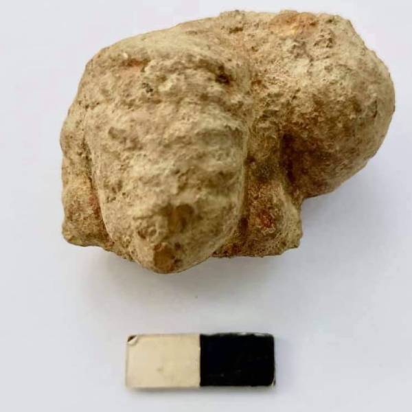 கருவிகள்