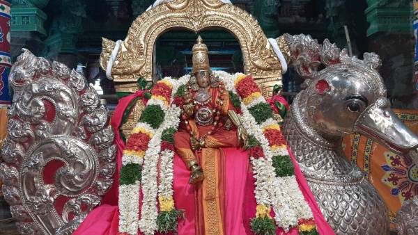 Aadi Mulaikottu festival Madurai Meenakshi amman blessed in Annam vehicle Aadi Mulaikottu festival Madurai Meenakshi amman blessed in Annam vehicle