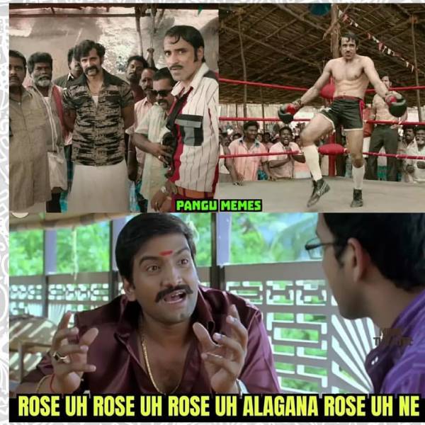 ரோஸு