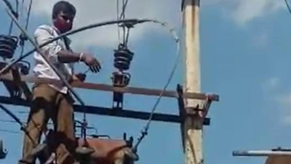 வீடியோ வைரல்