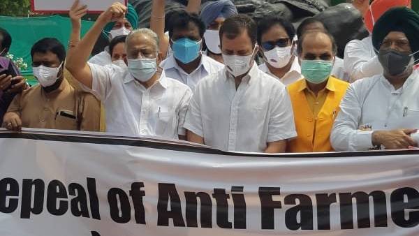 Rahul Gandhi stages protest against Farm Laws Rahul Gandhi stages protest against Farm Laws
