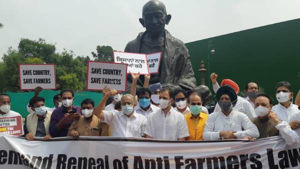 Rahul Gandhi stages protest against Farm Laws Rahul Gandhi stages protest against Farm Laws