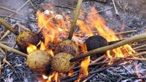Aadi matha pirappu : Aadi special Vedi Thengai festival celebrates Salem and Erode Aadi matha pirappu : Aadi special Vedi Thengai festival celebrates Salem and Erode