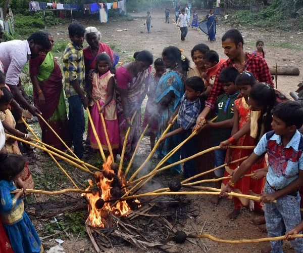 Aadi matha pirappu : Aadi special Vedi Thengai festival celebrates Salem and Erode Aadi matha pirappu : Aadi special Vedi Thengai festival celebrates Salem and Erode