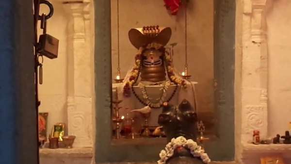 தறிக்குடிகள்