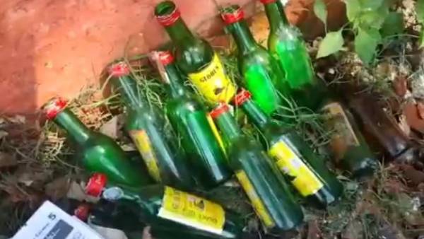 குஷியான எலிகள்