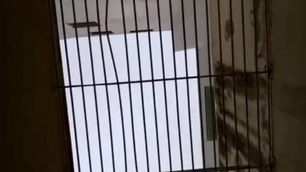 மக்கள் அச்சம்