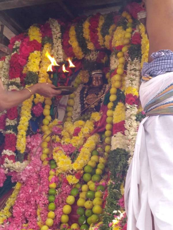 நரம்பு நோய் நீங்கும்