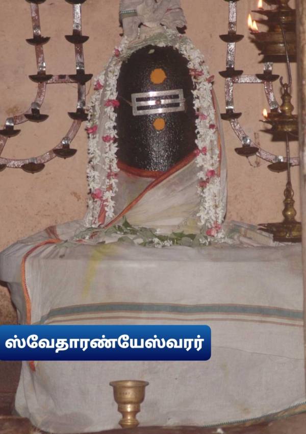 குழந்தைகளுக்கு கல்வி வளர்ச்சி