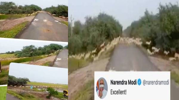 Narendra Modi says excellent for the video shared about Gujarat Narendra Modi says excellent for the video shared about Gujarat