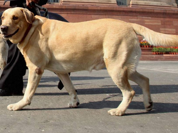 சிகிச்சை இலவசம்