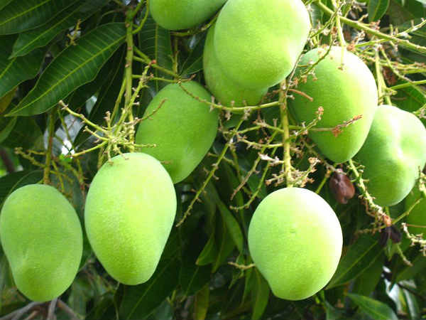 ஊரடங்கு